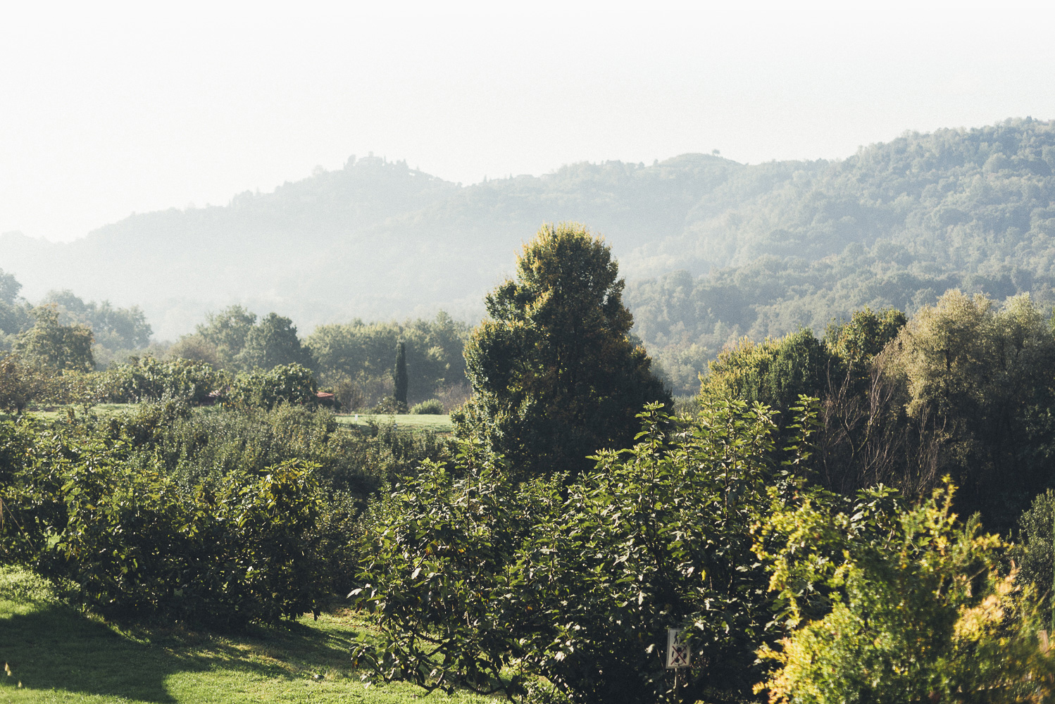 Moze goes to the countryside