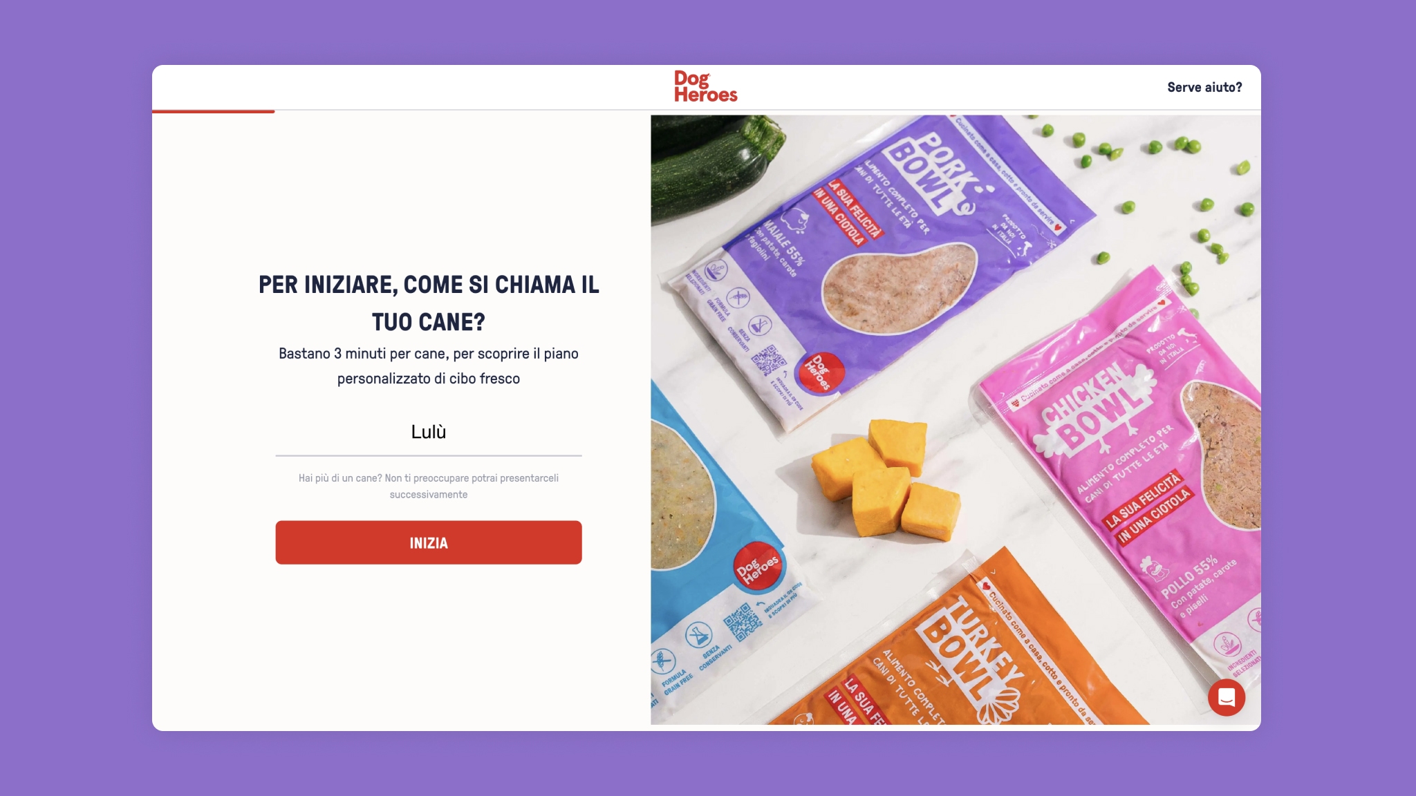 How we've built Dog Heroes using WooCommerce and React