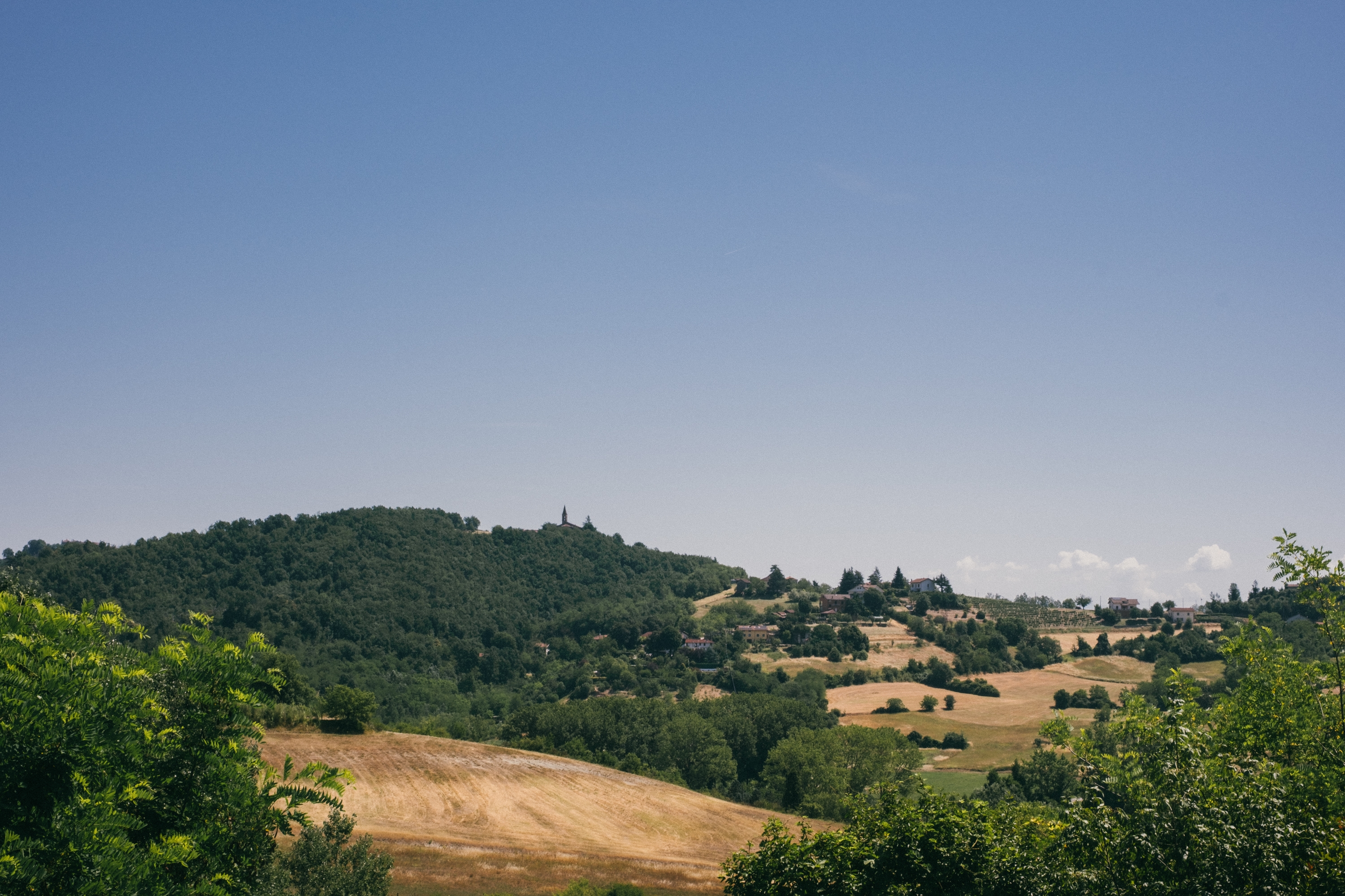 Landscape in Monferrato