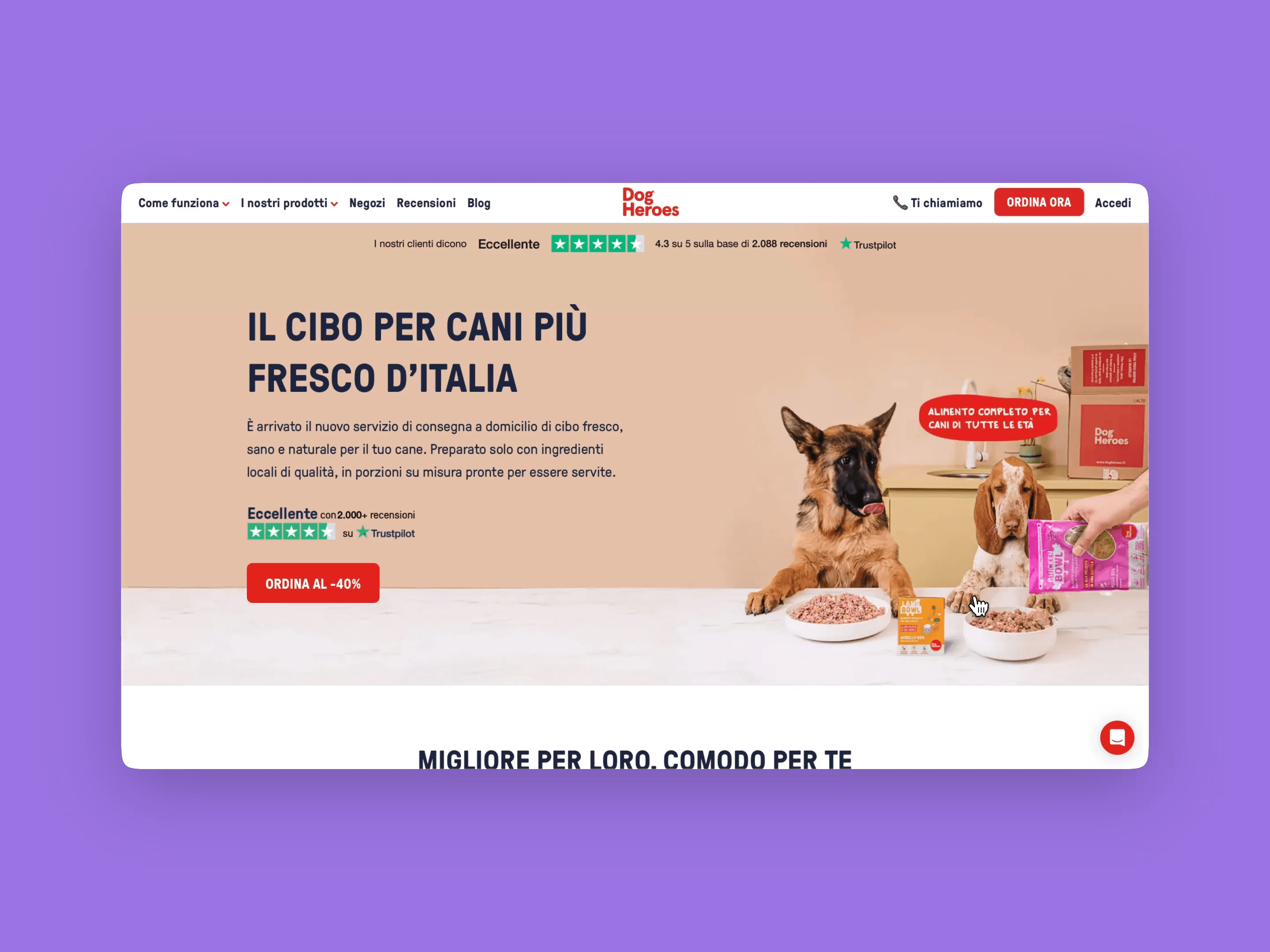 Schermata del sito Dog Heroes con promozione di cibo fresco per cani e immagini di due cani davanti alle loro ciotole.